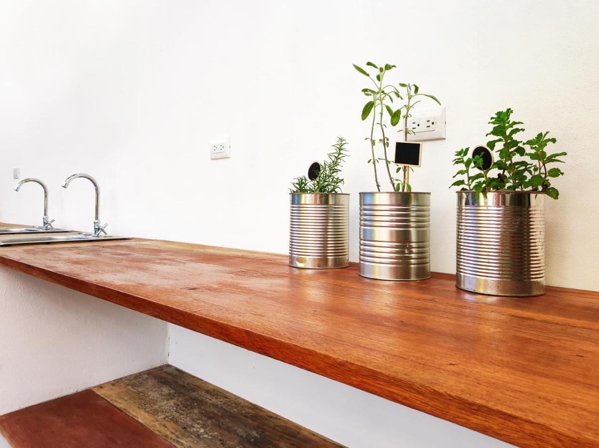 Ico Living Hostel Playa Santa Teresa  Экстерьер фото